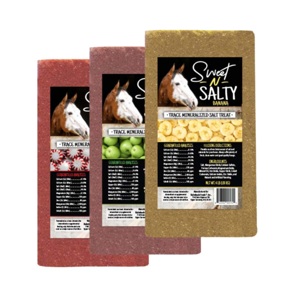 Kalmbach Feeds Sweet-N-Salty Horse Brick Online now