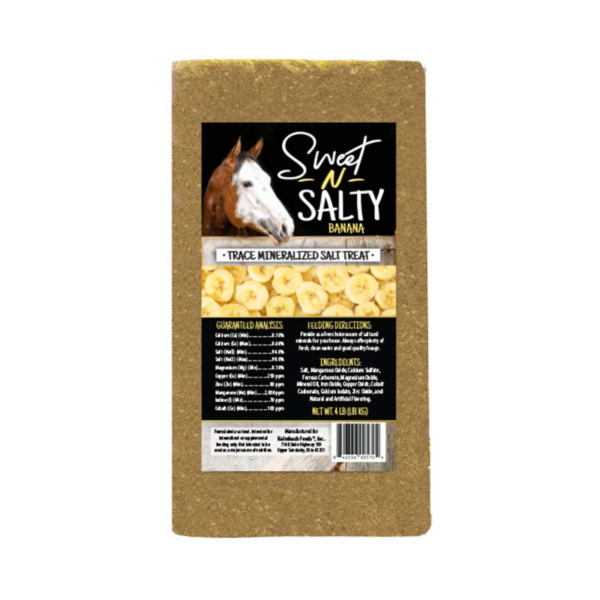 Kalmbach Feeds Sweet-N-Salty Horse Brick Online now - Image 4